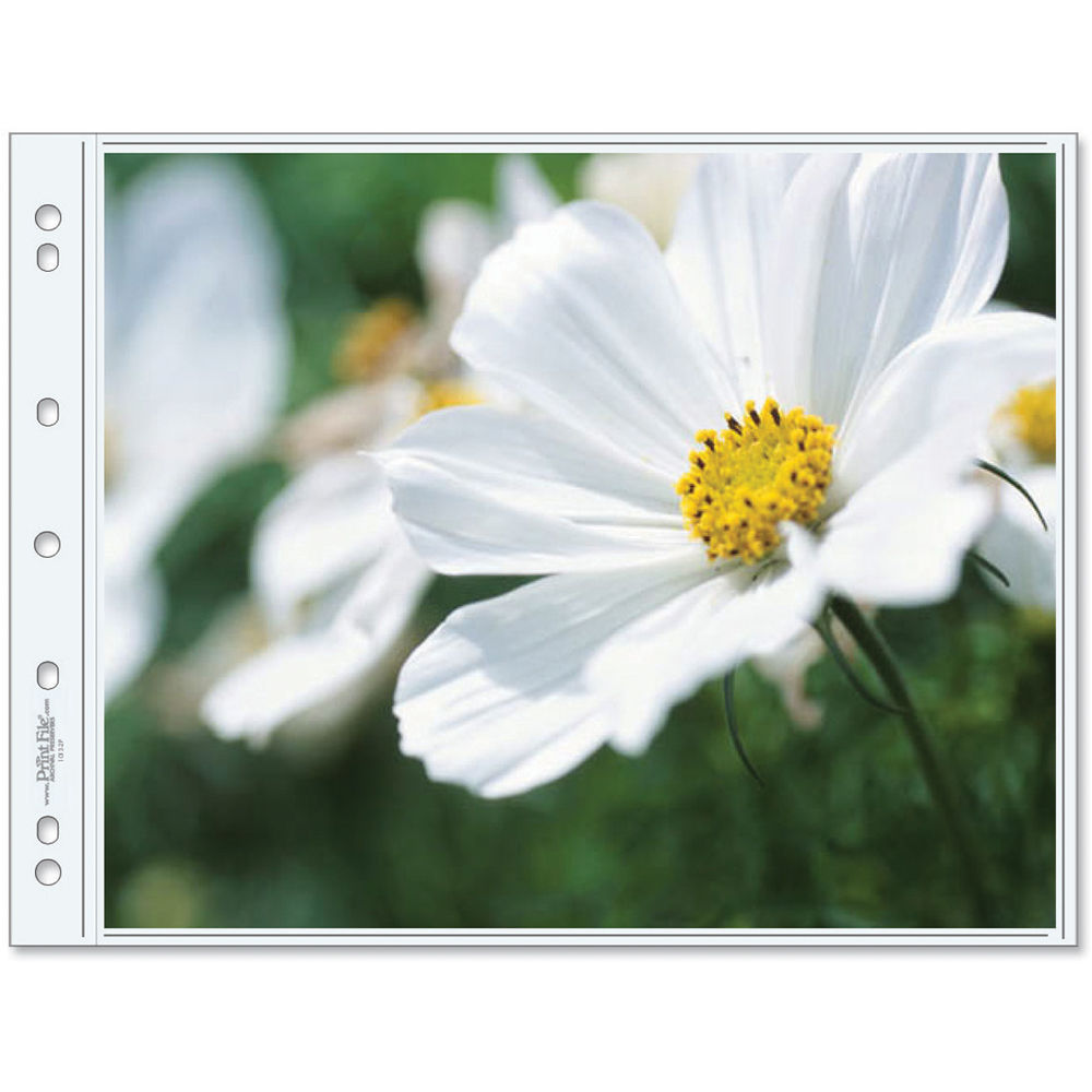 Print File 1013-2P Oversized Pages (25-Pack)