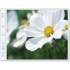 Print File 1013-2P Oversized Pages (25-Pack)