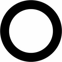 Ikelite Anti-Reflection Ring for Carl Zeiss Touit 12mm f/2.8 Lens in Underwater Dome Port