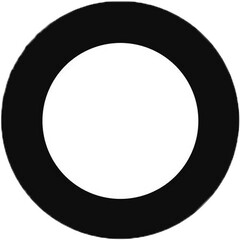 Ikelite Anti-Reflection Ring for Nikon NIKKOR AF-S 17-35mm f/2.8D IF-ED Lens in Underwater Dome Port
