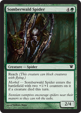 Somberwald Spider - Foil