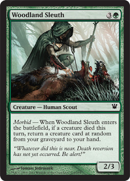 Woodland Sleuth - Foil