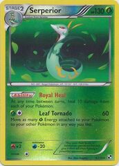 Serperior - 6/114 - Holo Rare - Reverse Holo