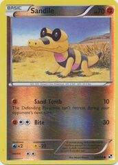 Sandile - 63/114 - Common - Reverse Holo