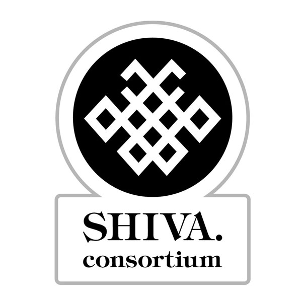 Godzilla S.P [Singular Point] Shiva Kyoudou Jigyoutai Patch (Removable)