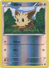 Lillipup - 80/114 - Common - Reverse Holo