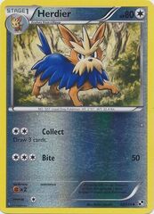 Herdier - 82/114 - Uncommon - Reverse Holo