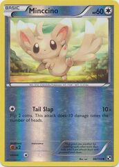 Minccino - 88/114 - Common - Reverse Holo