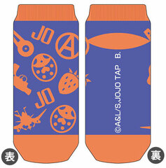 Chara Socks TV Anime 