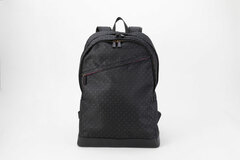 [Exclusive Sale] EMooooN Fate/kaleid liner Prisma Illya Backpack Illyasviel Von Einzbern Model