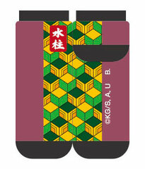 Demon Slayer: Kimetsu no Yaiba Chara Socks 05 Giyu Tomioka