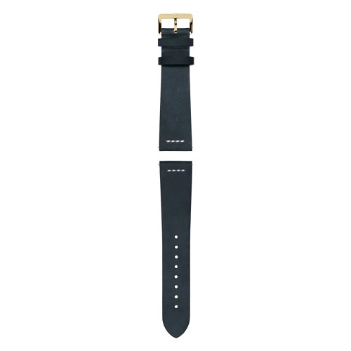 Rado Blue Leather Strap - R070913201