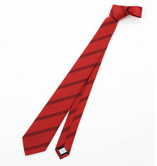 THE IDOLM@STER SideM - Rui Maita's Necktie