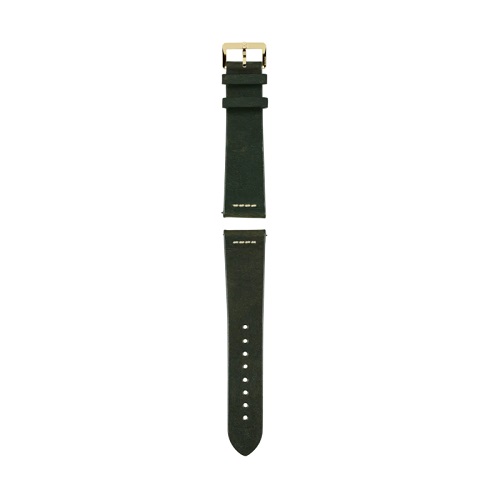 Rado Green Leather Strap - R070914901