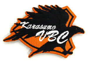 Haikyuu!! - Removable Patch: Karasuno High School Volleyball Club