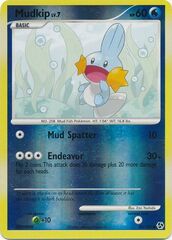 Mudkip - 80/106 - Common - Reverse Holo