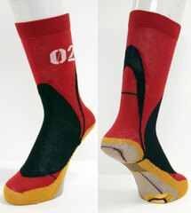 Rebuild of Evangelion - Stomp Impact Socks: EVA-2 Kai Gamma Ver.