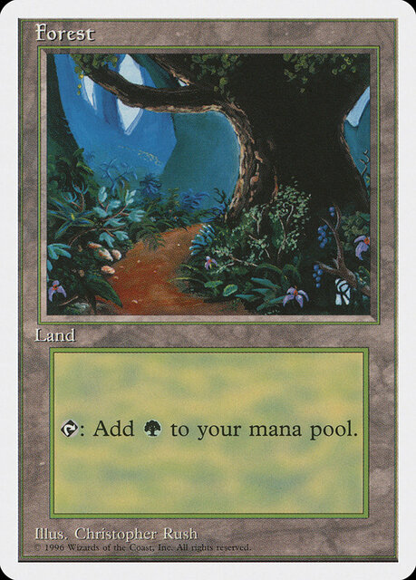 Forest (B)