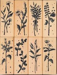 Cliocoo 8pcs Plants Rubber Stamp Set, Decorative Mounted Rubber Stamp Set For Journal, Planner, Scrapbook, Letter, Diy Craft M-83 3-garden