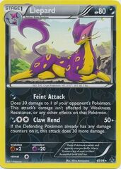 Liepard - 65/98 - Rare - Reverse Holo