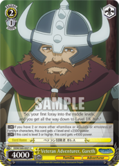 Veteran Adventurer, Gareth - DDM/S88-E021 - C