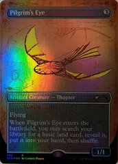 Pilgrim's Eye (692) - Foil - Borderless