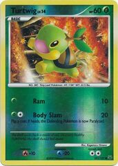 Turtwig - 101/127 - Common - Reverse Holo