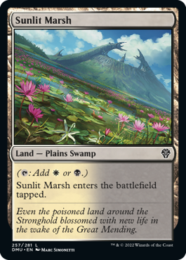 Sunlit Marsh - Foil