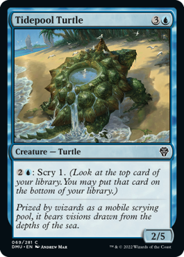 Tidepool Turtle - Foil