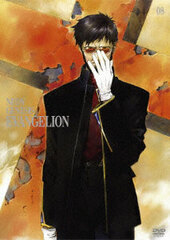 DVD Neon Genesis Evangelion DVD STANDARD EDITION Vol.8