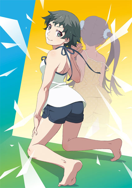 DVD Zoku Owarimonogatari Koyomi Reverse Part.1 Regular Edition
