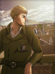 DVD TV Anime 