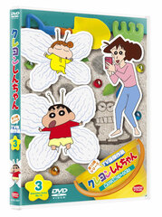 DVD Crayon Shin-chan TV Classic Collection Series 13 (3) Neteiru Aidani Art dazo