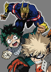 DVD My Hero Academia 2nd Vol.8 First Press Limited Edition