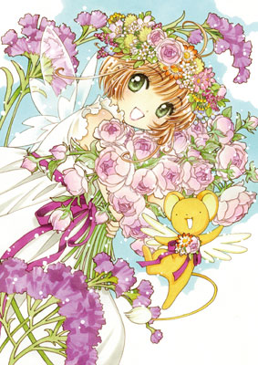 DVD Cardcaptor Sakura DVD BOX