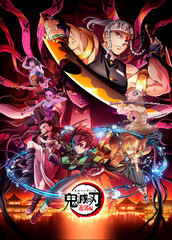 DVD Demon Slayer: Kimetsu no Yaiba Entertainment District Arc 6 Completely Limited Production Edition