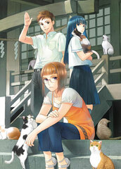 DVD Sagrada Reset DVD BOX Vol.2
