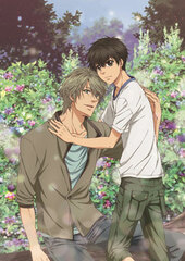 DVD SUPER LOVERS 2 DVD Limited Edition Vol.4