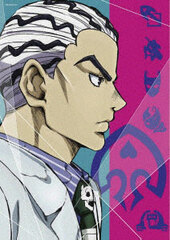 DVD JoJo's Bizarre Adventure Diamond Is Unbreakable Vol.13 First Press Edition