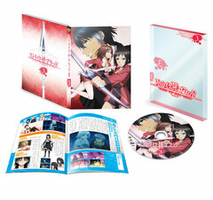 DVD Strike the Blood II OVA Vol.3