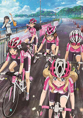 DVD Minami Kamakura Koukou Joshi Jitensha-bu Special Arc