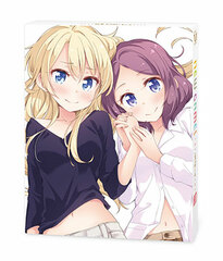 DVD NEW GAME! Lv.3