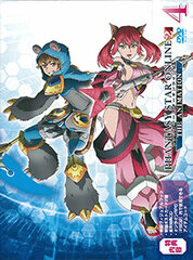 DVD Phantasy Star Online 2 The Animation Vol.4 First Press Limited Edition
