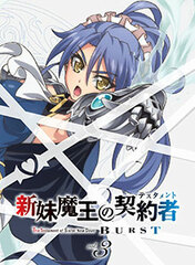DVD The Testament of Sister New Devil BURST Vol.3 Limited Edition