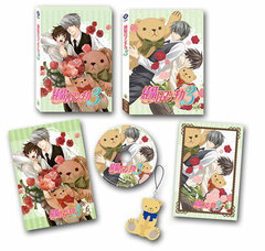 DVD Junjou Romantica 3 Vol.6 First Press Limited Edition
