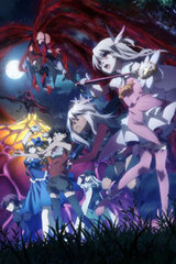 DVD Fate/kaleid liner Prisma Illya 2wei Herz! Vol.5 Regular Edition