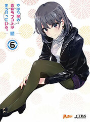 DVD My Teen Romantic Comedy SNAFU 2 Vol.6 First Press Limited Edition (w/Newly Written Novel by Wataru Watari)