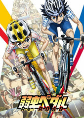 DVD Yowamushi Pedal Re:ROAD