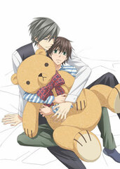 DVD Junjou Romantica 3 Vol.3 Regular Edition