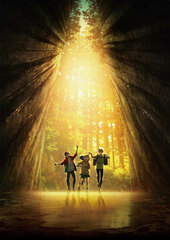 DVD Movie 